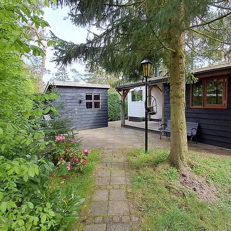 Sfeervol Chalet De Dassenburcht Emst Exterior photo